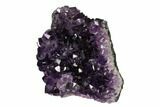 Dark Purple Amethyst Crystal Cluster - Artigas, Uruguay #151249-2